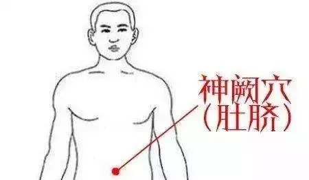 神阙穴:生命之蒂,一个能吃药的神奇穴位!